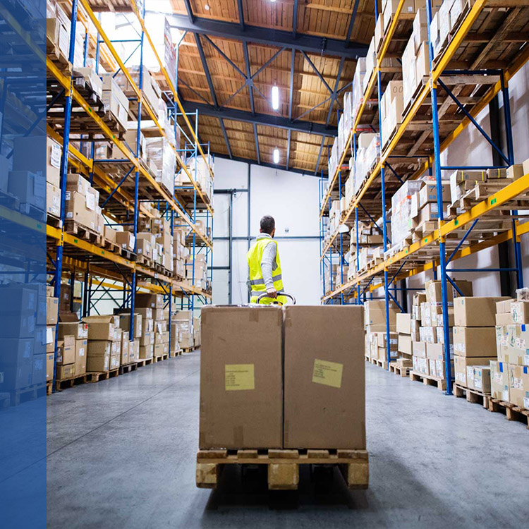 Logistics and warehouse organization