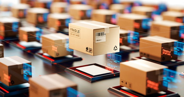 transport logistics and customs warehouse